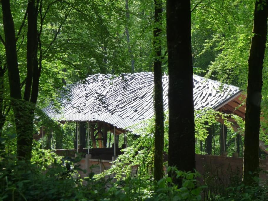 Novelist Shepherd'S Hut Beaminster Exterior foto